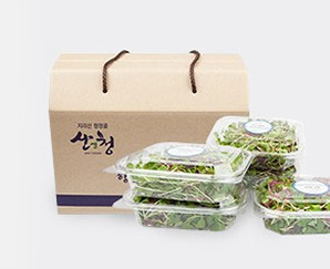 산청 어린잎채 선물세트