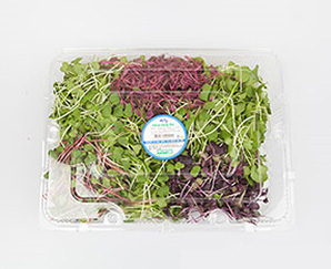 산청 어린잎채 200g